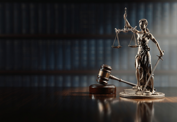 Lic. María de la Luz Castillo Vázquez